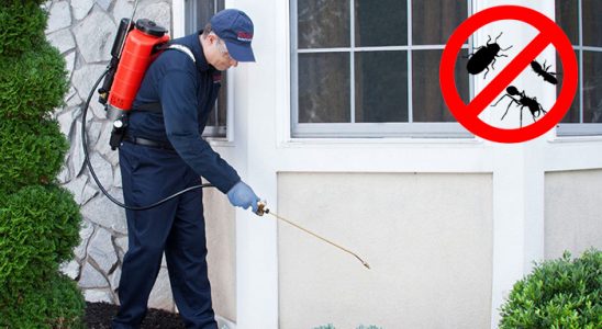 Ağlasun Akrep İlaçlama böcek ilaçlama ve haşere kontrolü — ilaclama-tr.com
